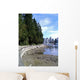 Vancouver Stanley Park Looking Wall Decal