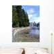 Vancouver Stanley Park Looking Wall Decal
