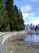 Vancouver Stanley Park Looking Wall Decal