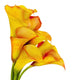 Yellow Calla Lilies Wall Decal