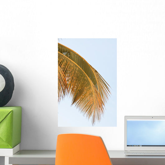 Palm Mature Coconut Wall Decal