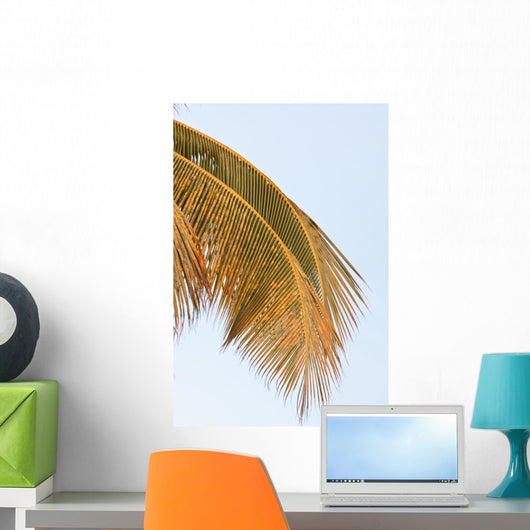 Palm Mature Coconut Wall Decal