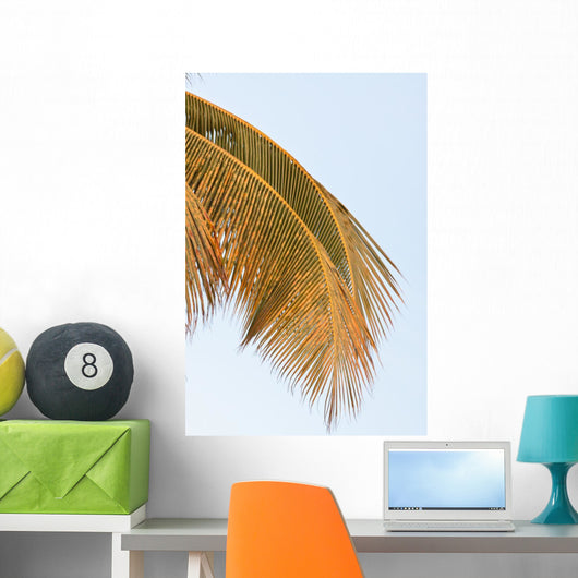 Palm Mature Coconut Wall Decal