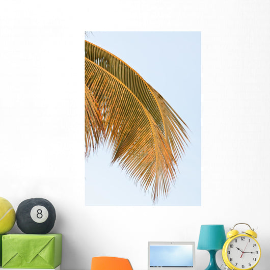 Palm Mature Coconut Wall Decal