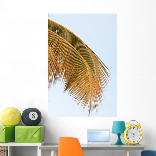 Palm Mature Coconut Wall Decal