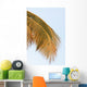 Palm Mature Coconut Wall Decal
