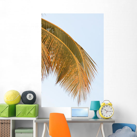 Palm Mature Coconut Wall Decal
