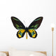 Rothschilda S Birdwing Ornithoptera Wall Decal