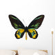 Rothschilda S Birdwing Ornithoptera Wall Decal