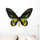 Rothschilda S Birdwing Ornithoptera Wall Decal