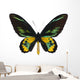 Rothschilda S Birdwing Ornithoptera Wall Decal