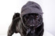 Black Mop With Woolen Wall Decal