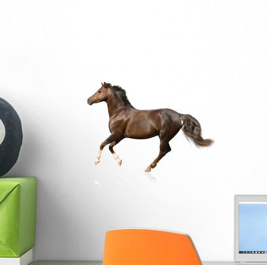 Galloping Horse Wall Decal