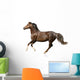 Galloping Horse Wall Decal