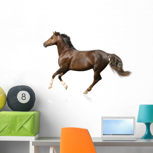 Galloping Horse Wall Decal