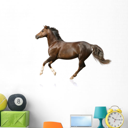 Galloping Horse Wall Decal