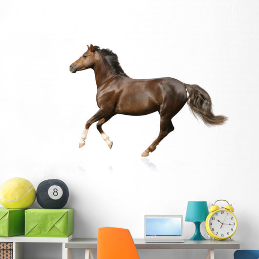 Galloping Horse Wall Decal