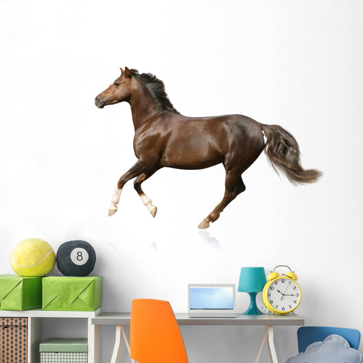 Galloping Horse Wall Decal