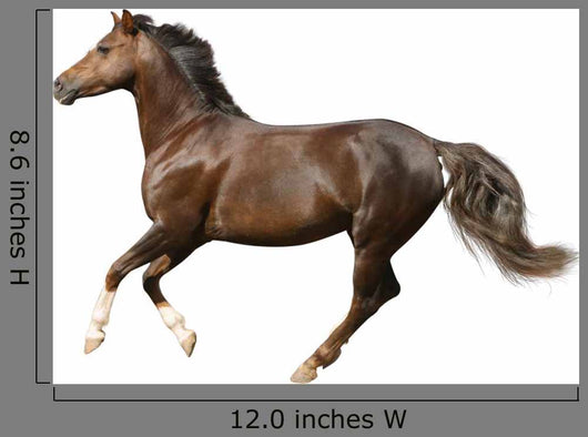Galloping Horse Wall Decal