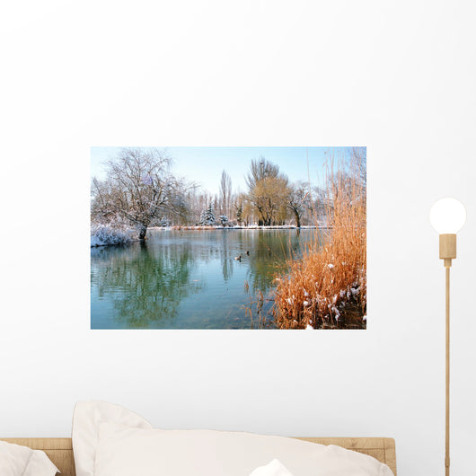 Winter Pond With Ducks Wall Decal