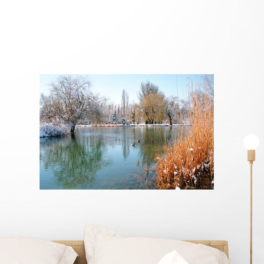 Winter Pond With Ducks Wall Decal