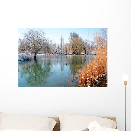 Winter Pond With Ducks Wall Decal