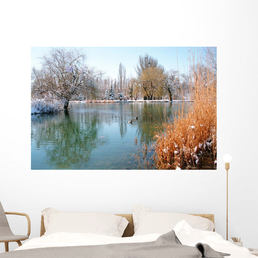 Winter Pond With Ducks Wall Decal