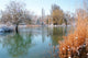 Winter Pond With Ducks Wall Decal
