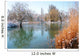 Winter Pond With Ducks Wall Decal