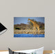 Giraffe Standing Near Waterhole Wall Decal