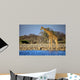 Giraffe Standing Near Waterhole Wall Decal