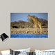 Giraffe Standing Near Waterhole Wall Decal