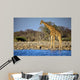 Giraffe Standing Near Waterhole Wall Decal