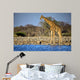 Giraffe Standing Near Waterhole Wall Decal
