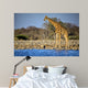Giraffe Standing Near Waterhole Wall Decal