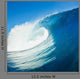 Big Ocean Wave Wall Decal