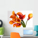 Orange Calla Lilieszantedeschia Over Wall Decal