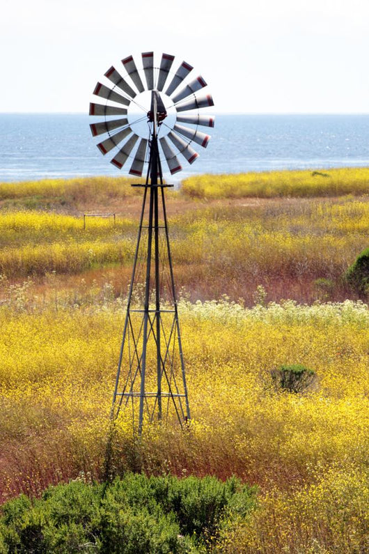 California'S Central Coast Big Wall Decal
