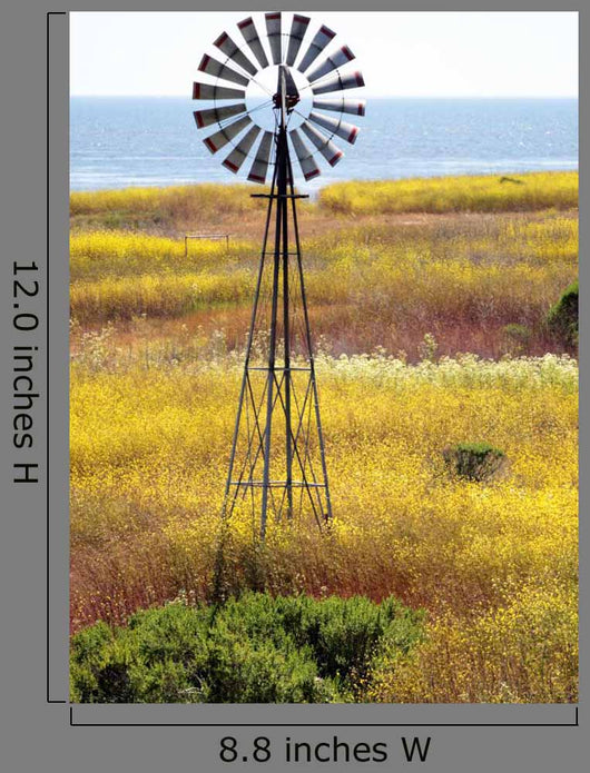 California'S Central Coast Big Wall Decal