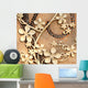 Golden Iron Flower - Square Wall Decal