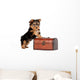 Yorkie Puppy White Wall Decal