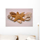 Starfish And Shells Wall Decal
