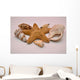Starfish And Shells Wall Decal