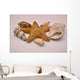 Starfish And Shells Wall Decal