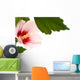 Hibiscus Flower White Wall Decal
