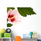 Hibiscus Flower White Wall Decal