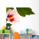 Hibiscus Flower White Wall Decal
