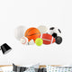 Various Balls Sports Wall Decal
