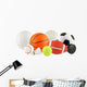 Various Balls Sports Wall Decal