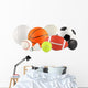 Various Balls Sports Wall Decal